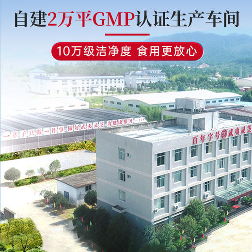 元生泰 紫灵芝茶 100g/袋 片整朵灵芝切片有机仿野生大段木种植煲汤灵芝茶 商品图5