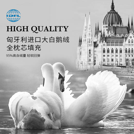 莫里斯传奇可水洗鹅绒枕 商品图1