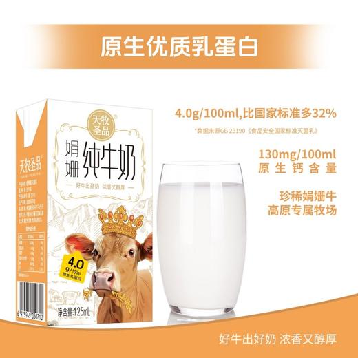 天牧圣品娟姗4.0蛋白纯牛奶125mlx10/三提装 生牛乳+原生蛋白+原生高钙 商品图4