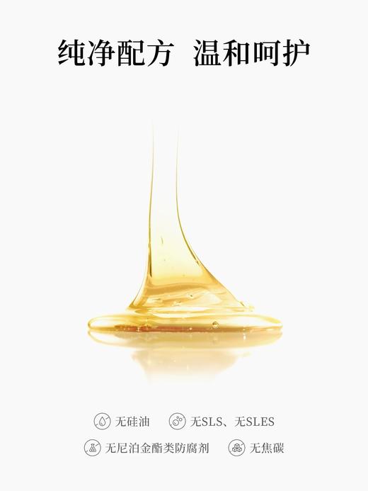 Leonor Greyl 法国LG活发养护洗发露 商品图3