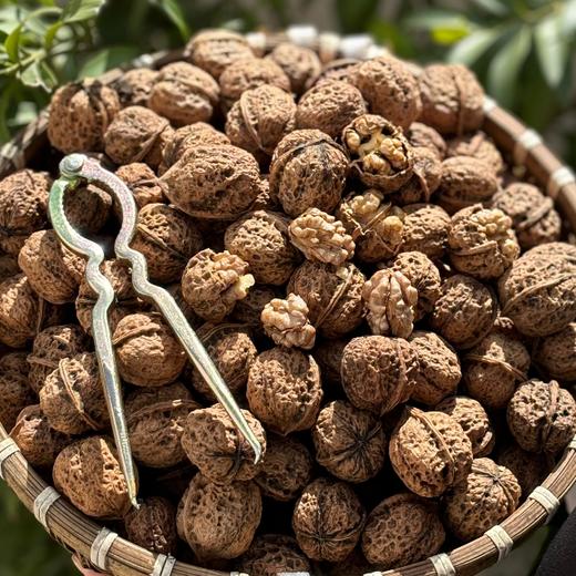 云南老树甜味小核桃，口感香醇，回味余长~ 商品图2