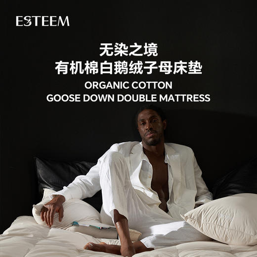 无染之境生态有机棉白鹅绒二合一子母床垫 商品图0