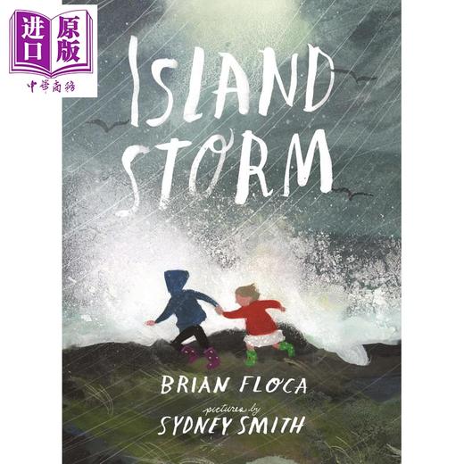 【中商原版】小岛风暴 Sydney Smith Island Storm 英文原版 儿童绘本 图画故事书 了解天气和户外体验 进口精装童书 精美插图 商品图0