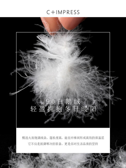 90白鹅绒设计感简约两穿鹅绒外套羽绒服YRF2504045 商品图4