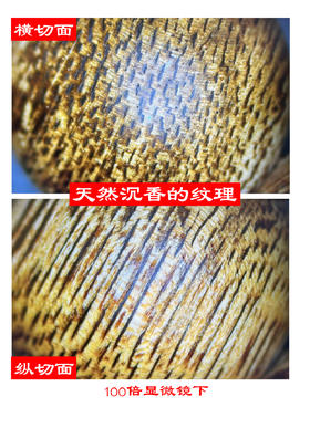 100倍显微镜下天然沉香的纹理
