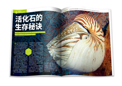 《万物》12期征订 商品图12