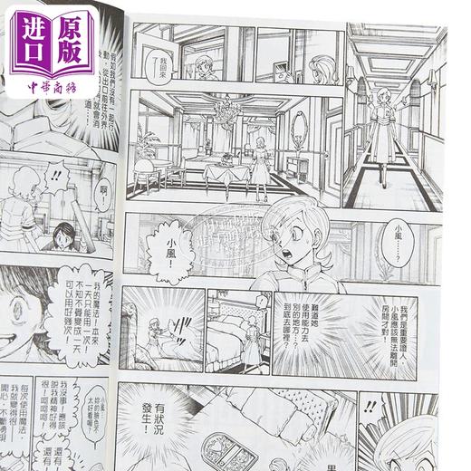 【中商原版】漫画 HUNTER X HUNTER 猎人 第38集 富坚义博 全职猎人 台版漫画书 东立出版 商品图2