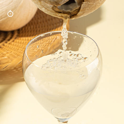 企鹅市集|泰国进口香水椰皇 奶香椰皇6颗装 清甜椰子水 鲜嫩椰肉 天然椰子 商品图5