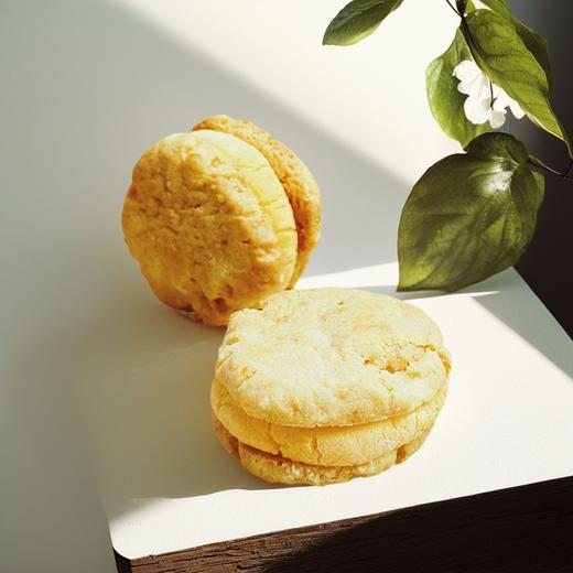 【5天内现做现发】野兽优选｜一酮咸蛋黄肉松饼干35g*6个（短保商品不支持7天无理由退换） 商品图2