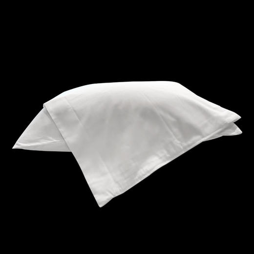 枕芯保护套 商品图0