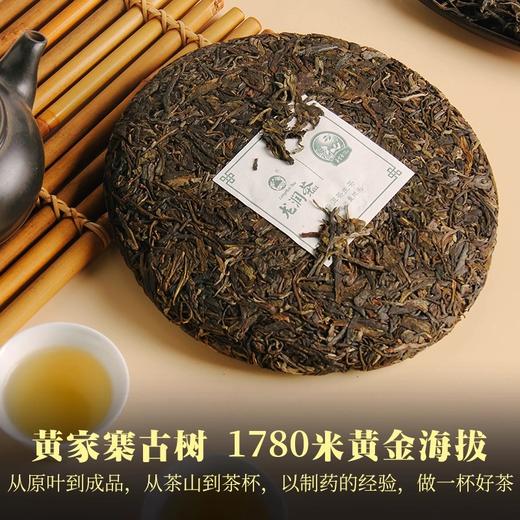 龙润丨初心生茶 黄家寨古树 普洱生茶 生普 2021年 357g 饼茶 商品图1