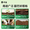 华畜蛭石珍珠岩多肉颗粒土铺面石育苗拌土发根营养土大颗粒通用型 商品缩略图2