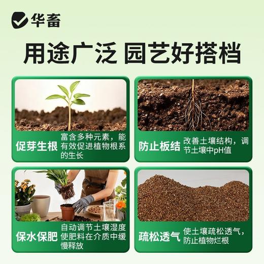 华畜蛭石珍珠岩多肉颗粒土铺面石育苗拌土发根营养土大颗粒通用型 商品图2