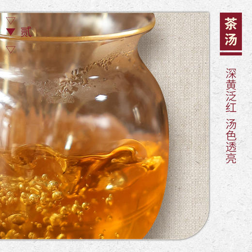 【山纯限品】2025年一等奖奇兰17g 商品图3