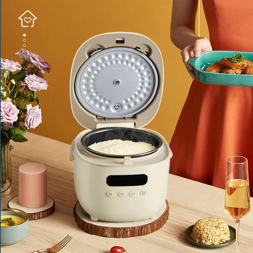 小熊电饭煲DFB-B20N2—rxs 商品图2