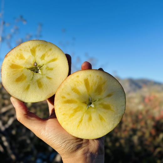 四川老树生态冰糖心丑苹果  5/8斤 商品图1