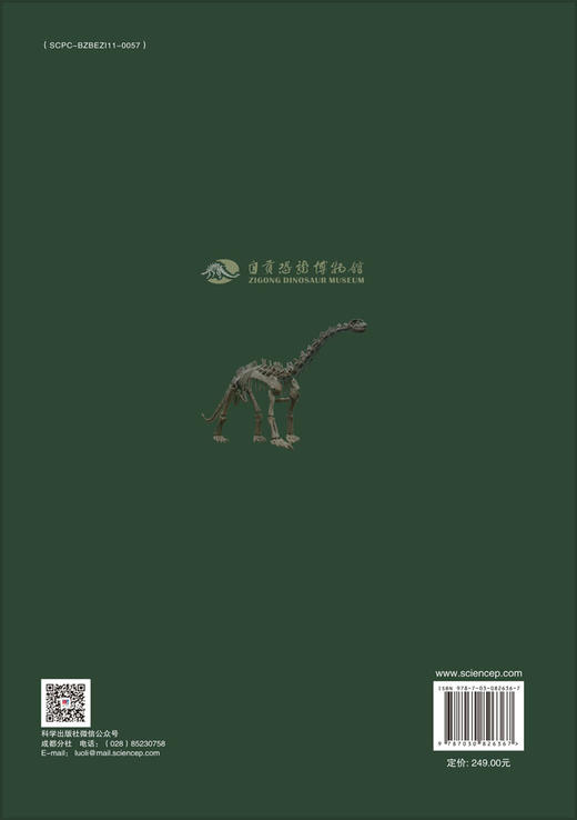 四川盆地恐龙化石 商品图1