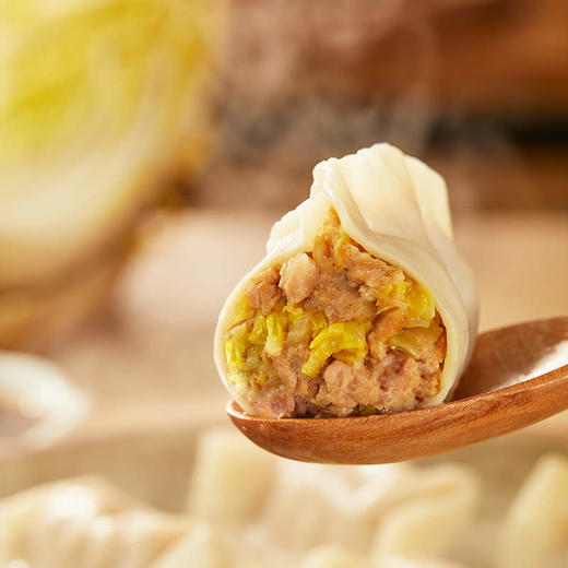 湾仔码头大白菜猪肉水饺 720g 商品图1