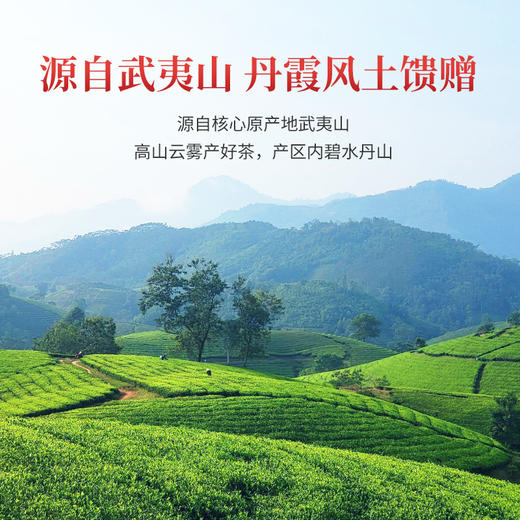 华祥苑钓鱼台肉桂武夷岩茶茶叶乌龙茶送礼礼盒 商品图3