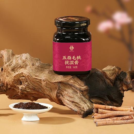 李良济五指毛桃茯湿膏160g/瓶 商品图2