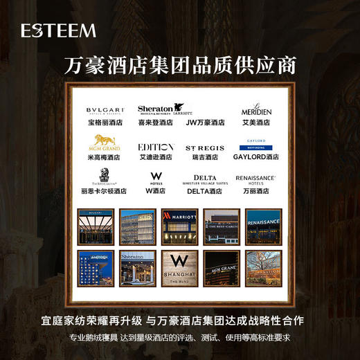 拾穗者95可水洗鹅绒被两件套（圣境蓝） 商品图4