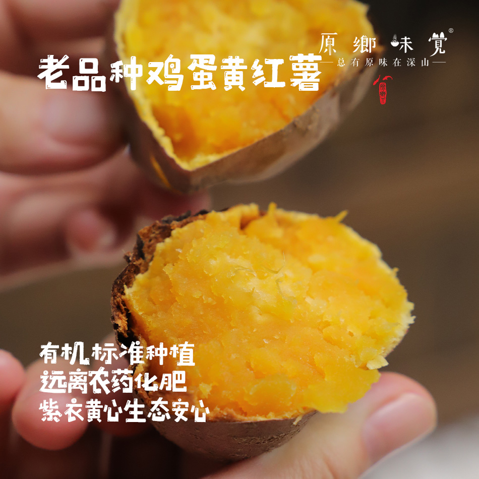 生态老品种鸡蛋黄红薯（农场直发-顺丰包邮） | 5斤/件，来自成都郫都【原乡农场，自产自销】
