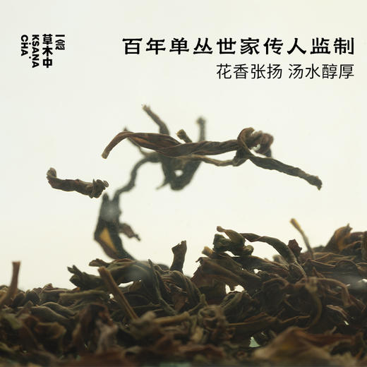 凤岭幽兰·凤凰单丛 | 私房清饮系列 | 50g原叶 |  乌龙茶类 商品图1