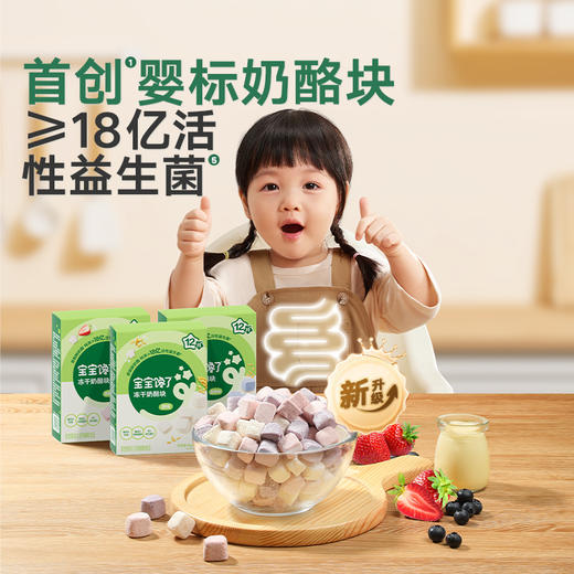 【宝宝馋了】婴幼儿冻干奶酪块  非再制干酪  商品图0
