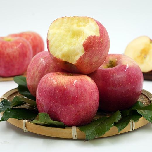 有机阿珍苹果 商品图3