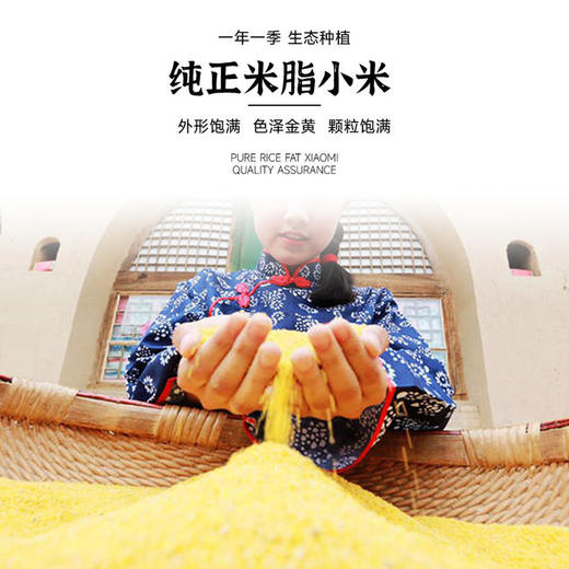 扶风寨正宗陕北米脂小米 精选杂粮 山地种植 口感醇厚 颗粒饱满 商品图3