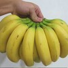 广西高山甜香蕉 软糯香甜·回味余甘 商品缩略图2
