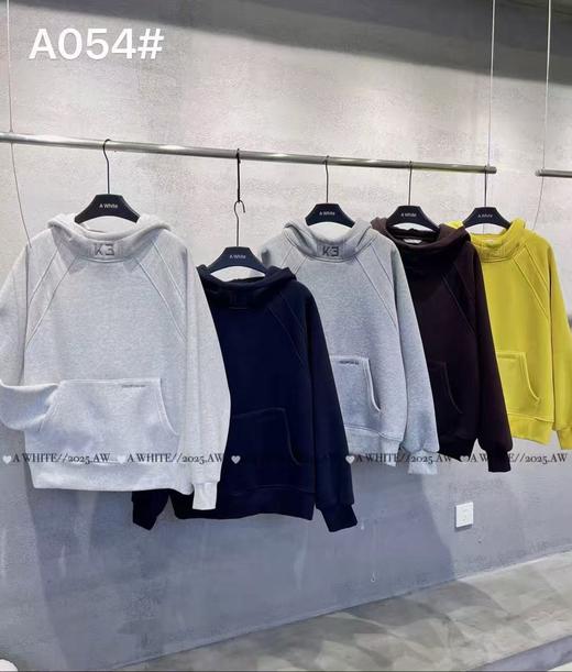 帽版休闲加绒卫衣 商品图0