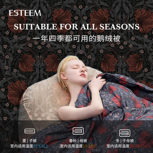 莫里斯传奇可水洗鹅绒被两件套 商品图1