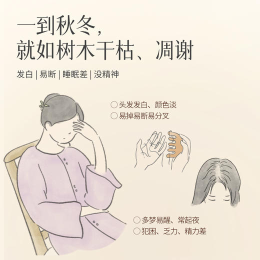 【五黑茶】九蒸九晒黄精 桑葚黑豆黑米黑枸杞20g真材实料以黑养黑 商品图1