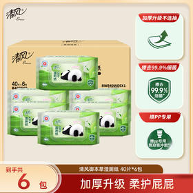 【官方自营】清风熊猫系列湿厕纸40片6包整箱装