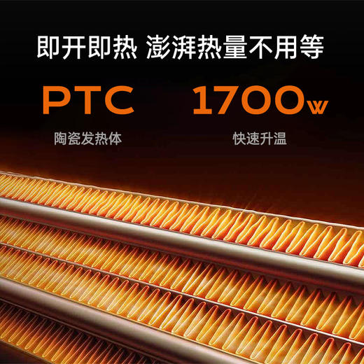 低于双11国补【1年以换代修 顺丰速运】THOMSON汤姆逊『火焰』取暖器1700W 商品图2