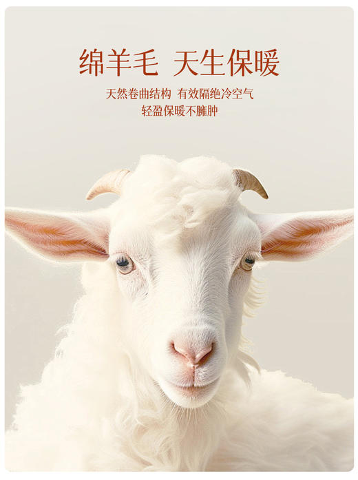 现货【GZ】无忧购绵羊毛桑蚕丝发热背心保暖固定一体杯文胸短款长款（截单后7天发货) 商品图10