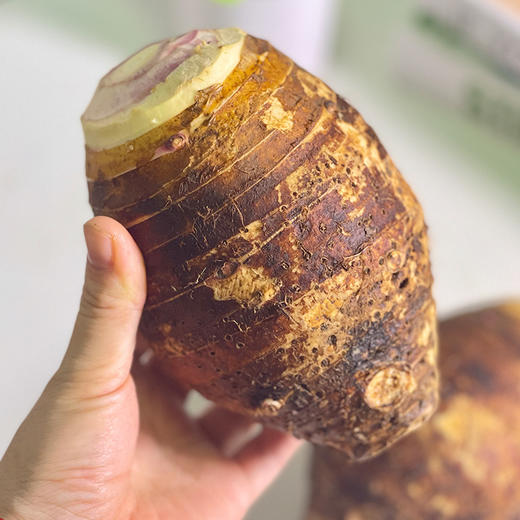 【产地直发】广西荔浦芋头 多规格 商品图0