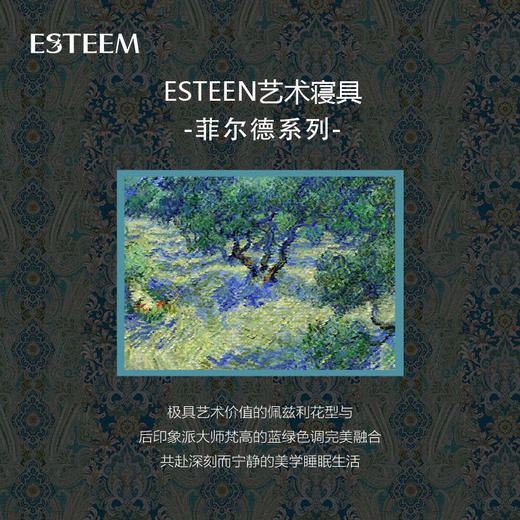 菲尔德可水洗鹅绒被两件套 商品图1