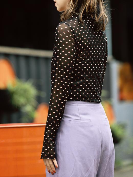 TYNVIE 黑色迷你花卉透视袖上衣 商品图4