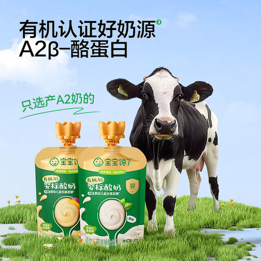 【品牌直供】宝宝馋了有机A2酸奶(10袋装) 商品图2