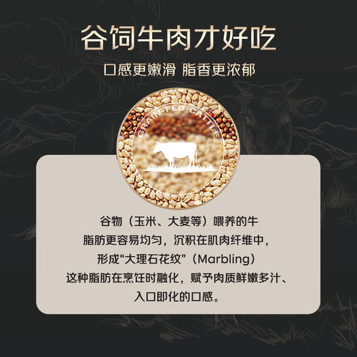 月盛斋澳洲谷饲肥牛卷2.2斤（1100g） 商品图5