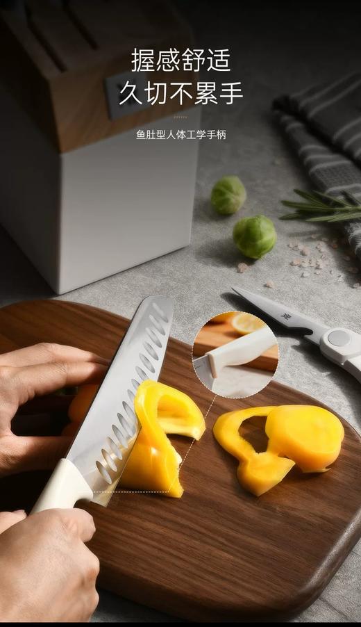 【6F】WMF  Cryo Shine刀具6件套（黑/白） 商品图6