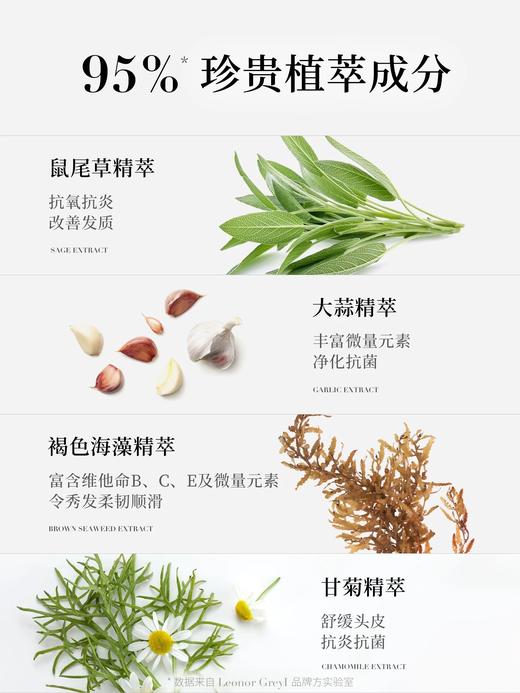 Leonor Greyl 法国 LG 花蕊精华洗发霜 商品图2