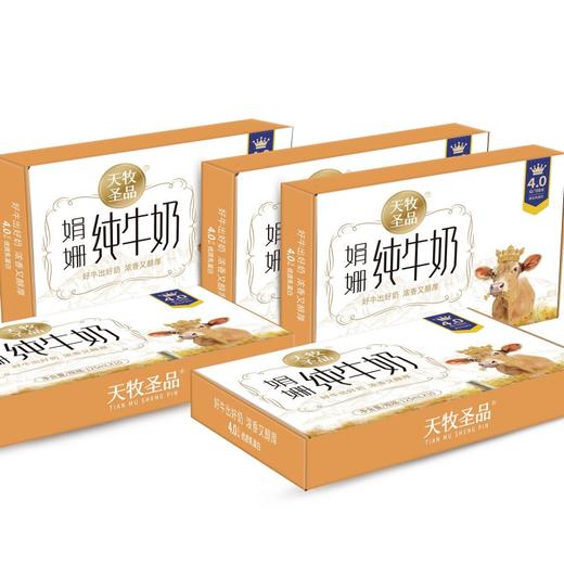 天牧圣品娟姗4.0蛋白纯牛奶125mlx10/三提装 生牛乳+原生蛋白+原生高钙 商品图9