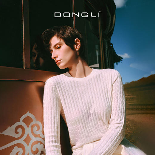 东黎 • 你本珍贵 小山羊绒女士秋季绞花套衫 5497 商品图0