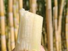 【云南18°の脆皮黄金甘蔗】果蔗界的顶级“爱马仕”❗来自中缅边境-云南陇川，口感秒杀紫皮甘蔗！平均糖度18度，只取甘蔗中间段，只选高品质一级大果 商品缩略图0