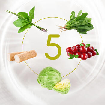 醇粹狗粮黑标鸭肉梨冻干中小型犬泰迪比熊成犬幼犬通用粮清爽泪痕10kg 商品图3