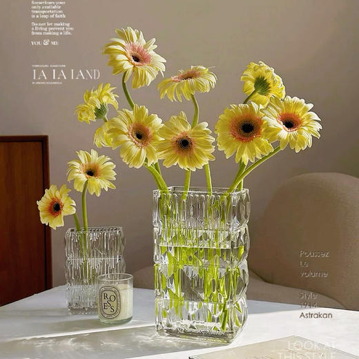 秒杀特价：网红加厚卢索水晶玻璃花瓶19.9 商品图1