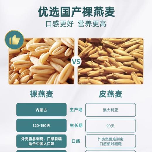 阴山优麦 纯燕麦片55g 商品图3